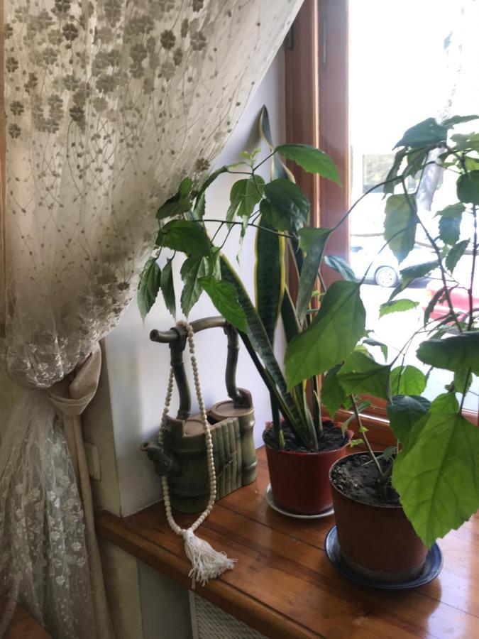 Uspenskay/Pushckinskay Apartament Odessa Zewnętrze zdjęcie