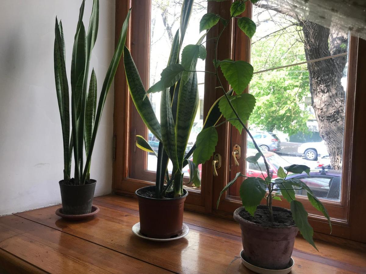 Uspenskay/Pushckinskay Apartament Odessa Zewnętrze zdjęcie